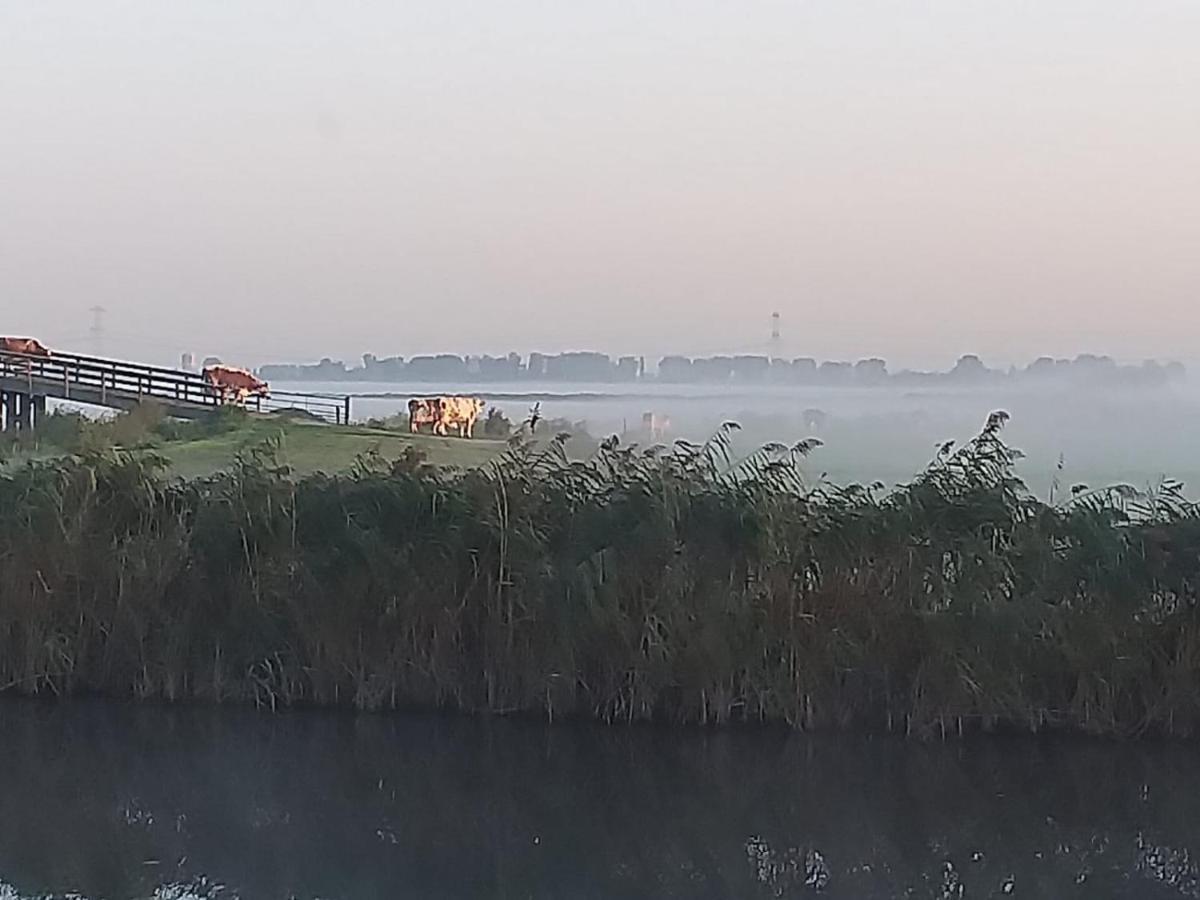 Huisje Aan Het Water, Omgeving Amsterdam Villa Zaandam Kültér fotó